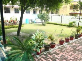 IYMS Rishikesh Ashram – Garden