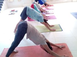 Students Practicing Downward Facing Dog – IYMS Rishikesh