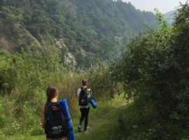 Treeking At Foothills of Himalayas – IYMS Rishikesh