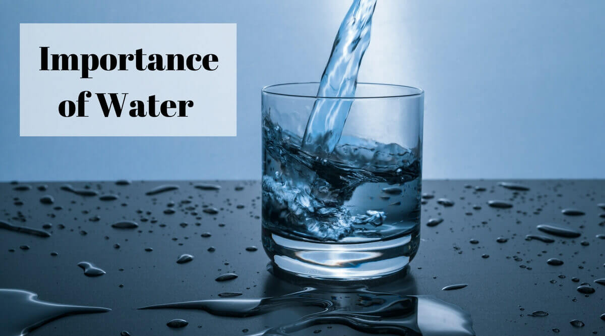 Importance of Water