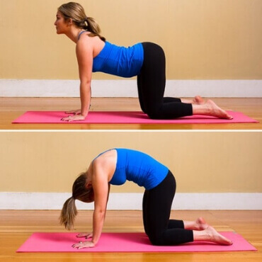 Cat-Cow Pose (Marjaryasana & Bitilasana)